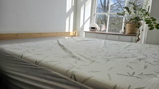 The side angle of the Utopia Bedding Bamboo Mattress Protector on a mattress in front of a sunny window