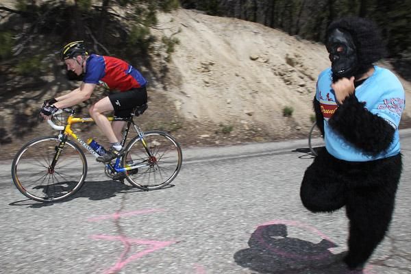 Nothing like a chasing gorilla to up one's pace.