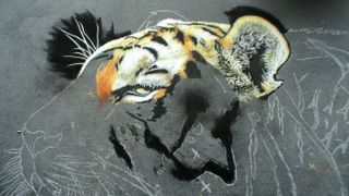 tiger's head in sketch