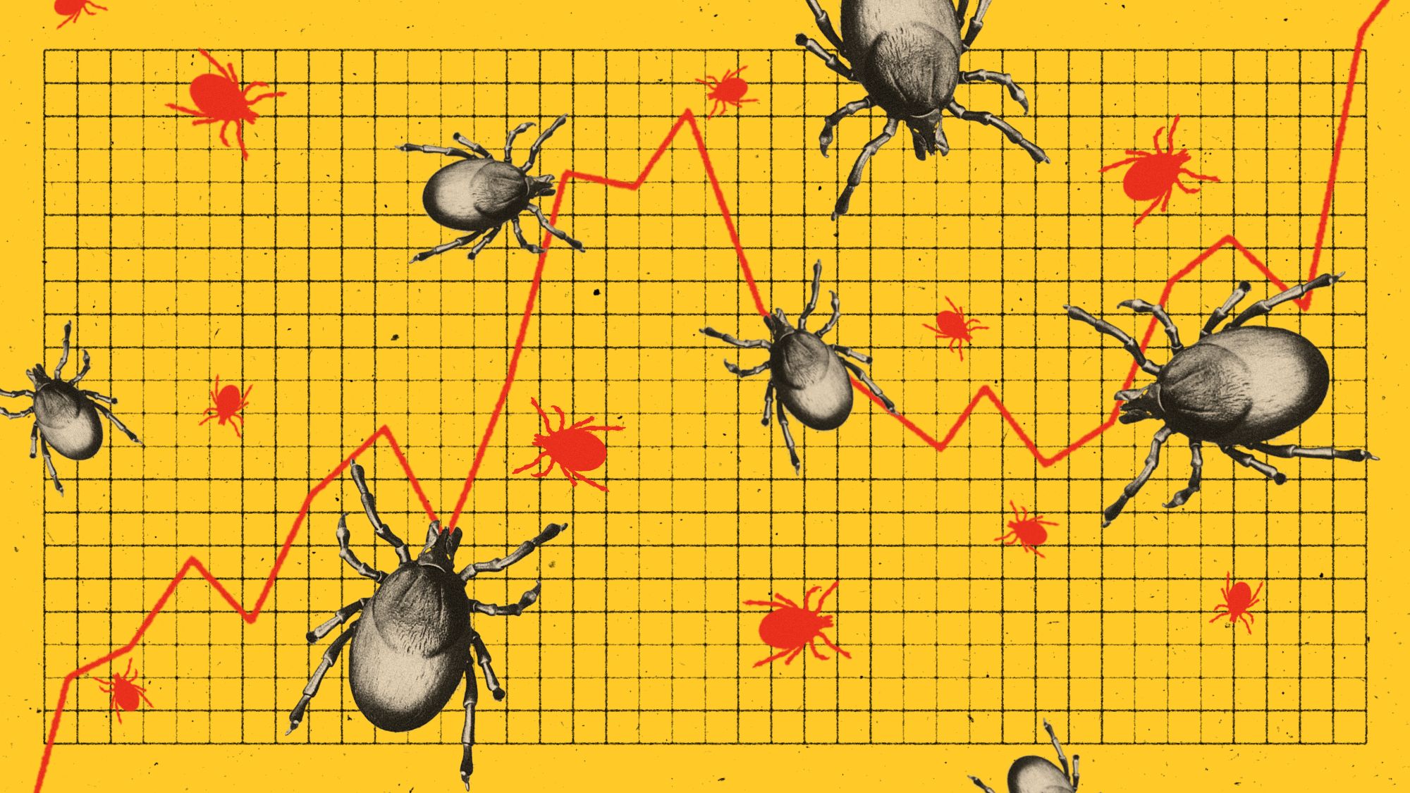The uptick in ticks