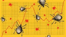 Illustration of a line graph showing rising tick numbers