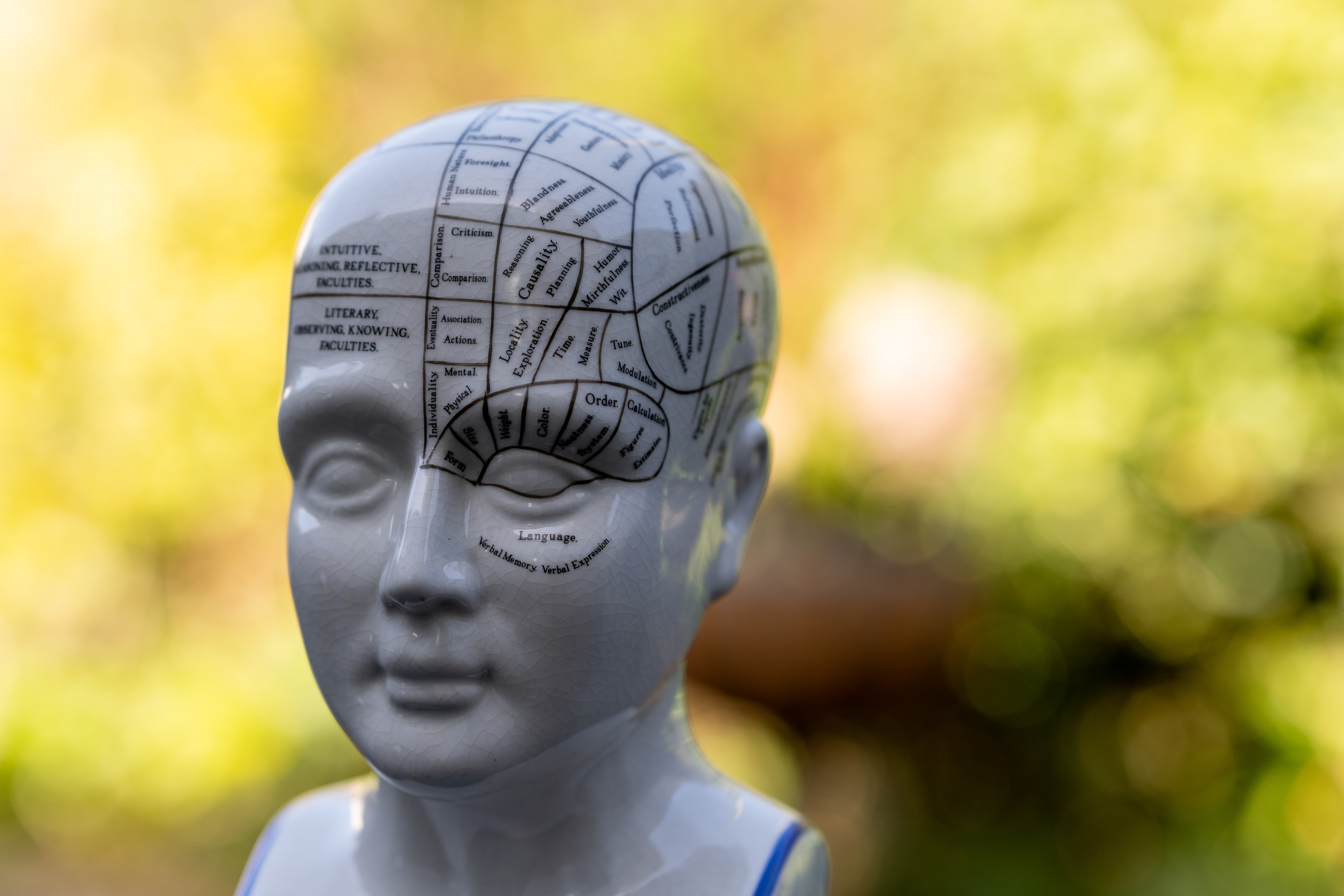 Meike AF 85mm f/1.8 SE II sample image