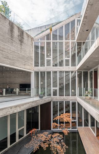 internal open air courtyard surrounded by glass in star house in taiwan