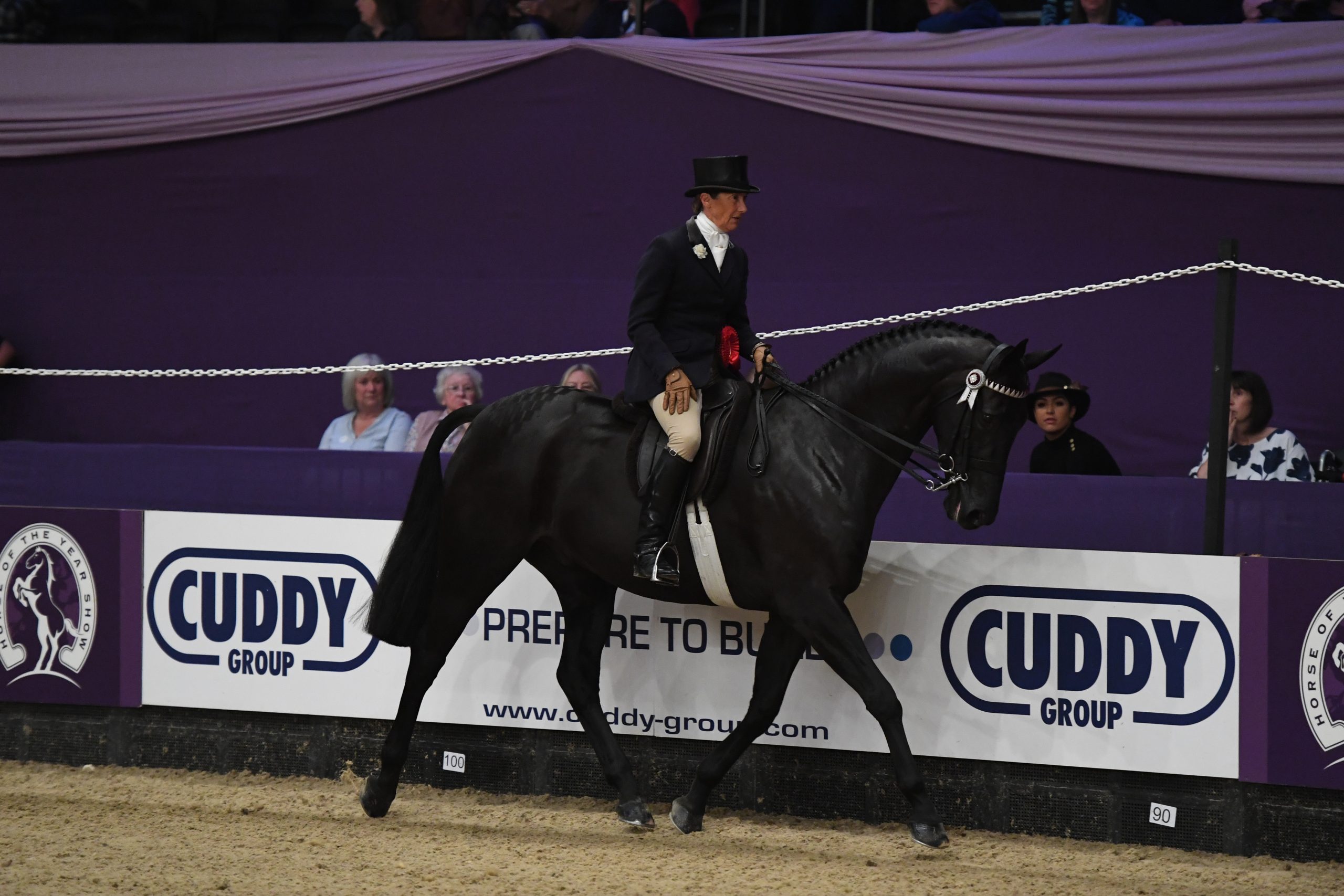 HorseNo901_HOYS_PN19_147005_348768662_587470582-scaled.jpg