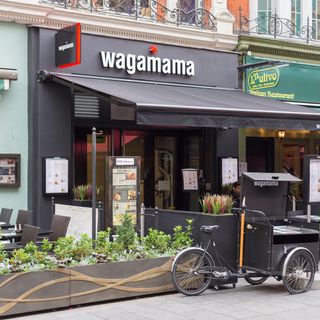 restaurant with plants and christiania bike