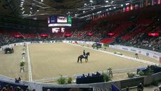 Edward Gal in the arena at Gothenburg