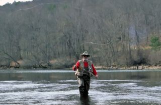 How to catch trout: our expert guide to landing angler's favourite fish