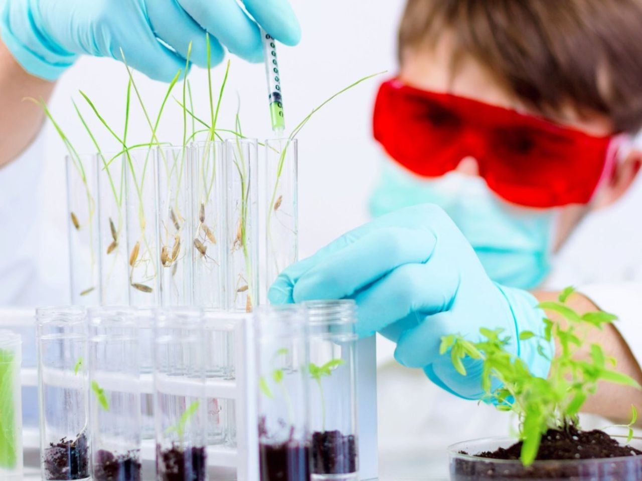 A Botanist Handling GMO Garden Seeds