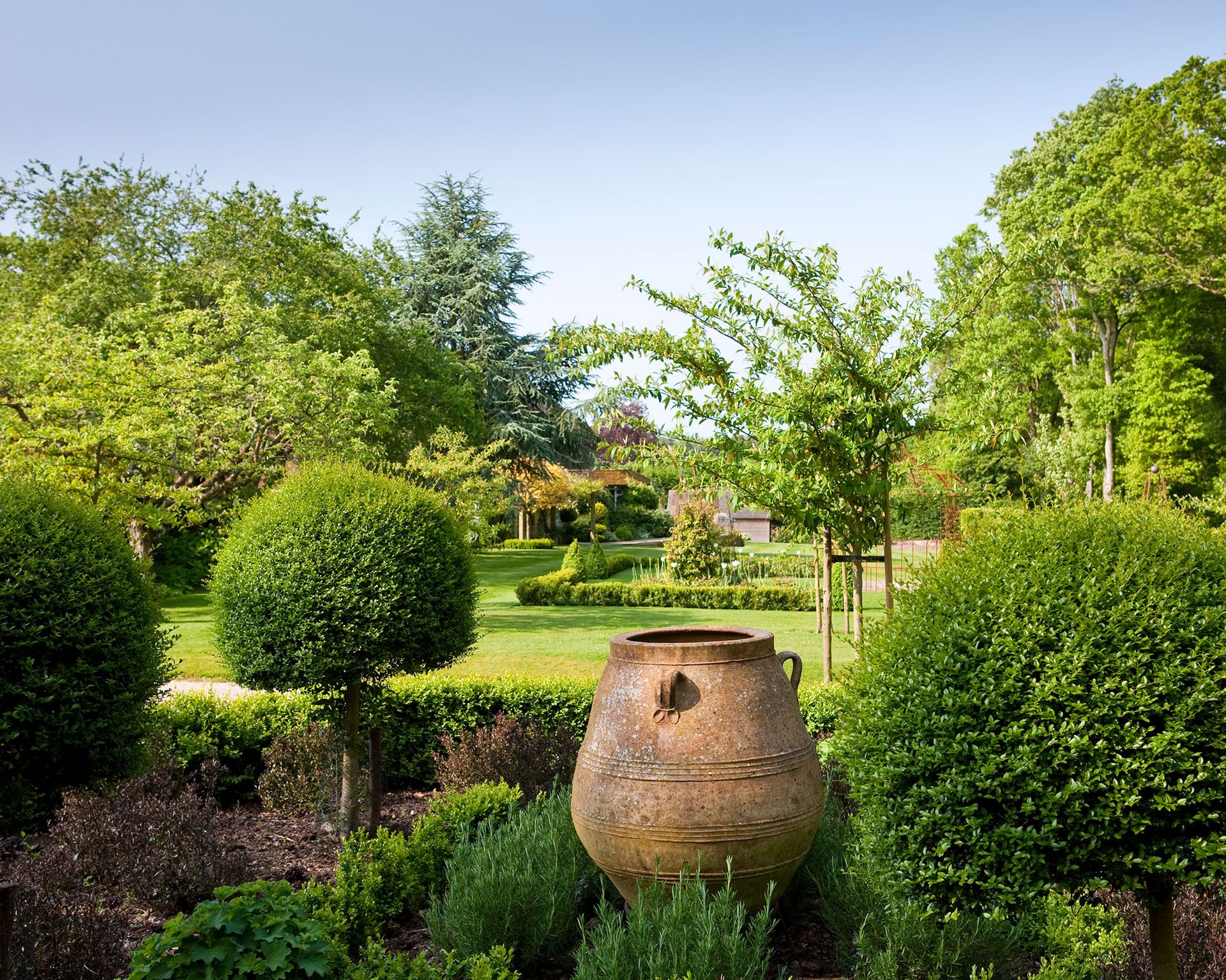 A large south facing garden with lots of trees and a terracotta pot
