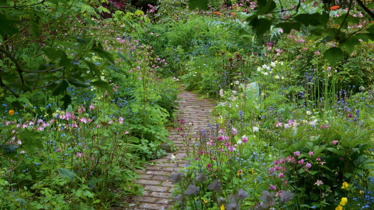 Garden maintenance checklist: garden path needing maintenance