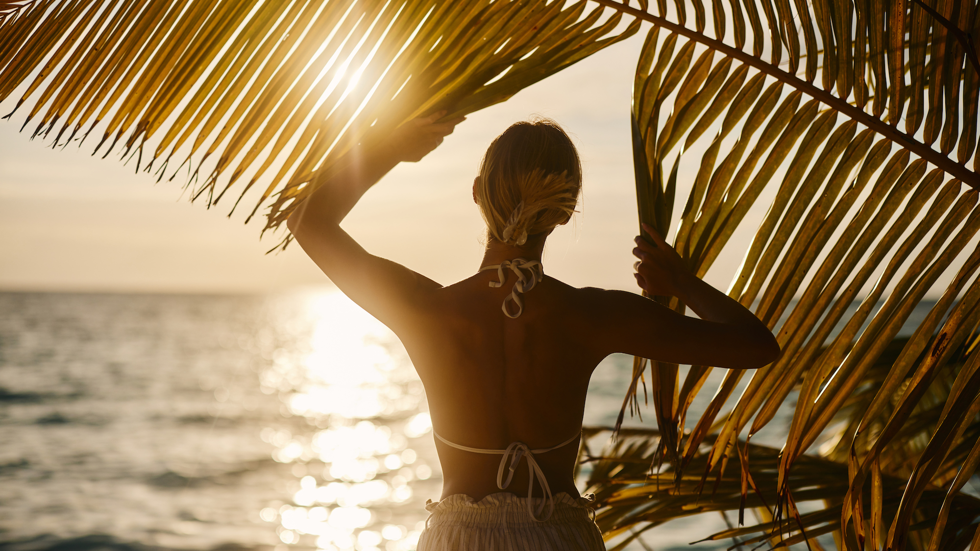 Summer perfumes: A woman stands under a palm tree at sunset