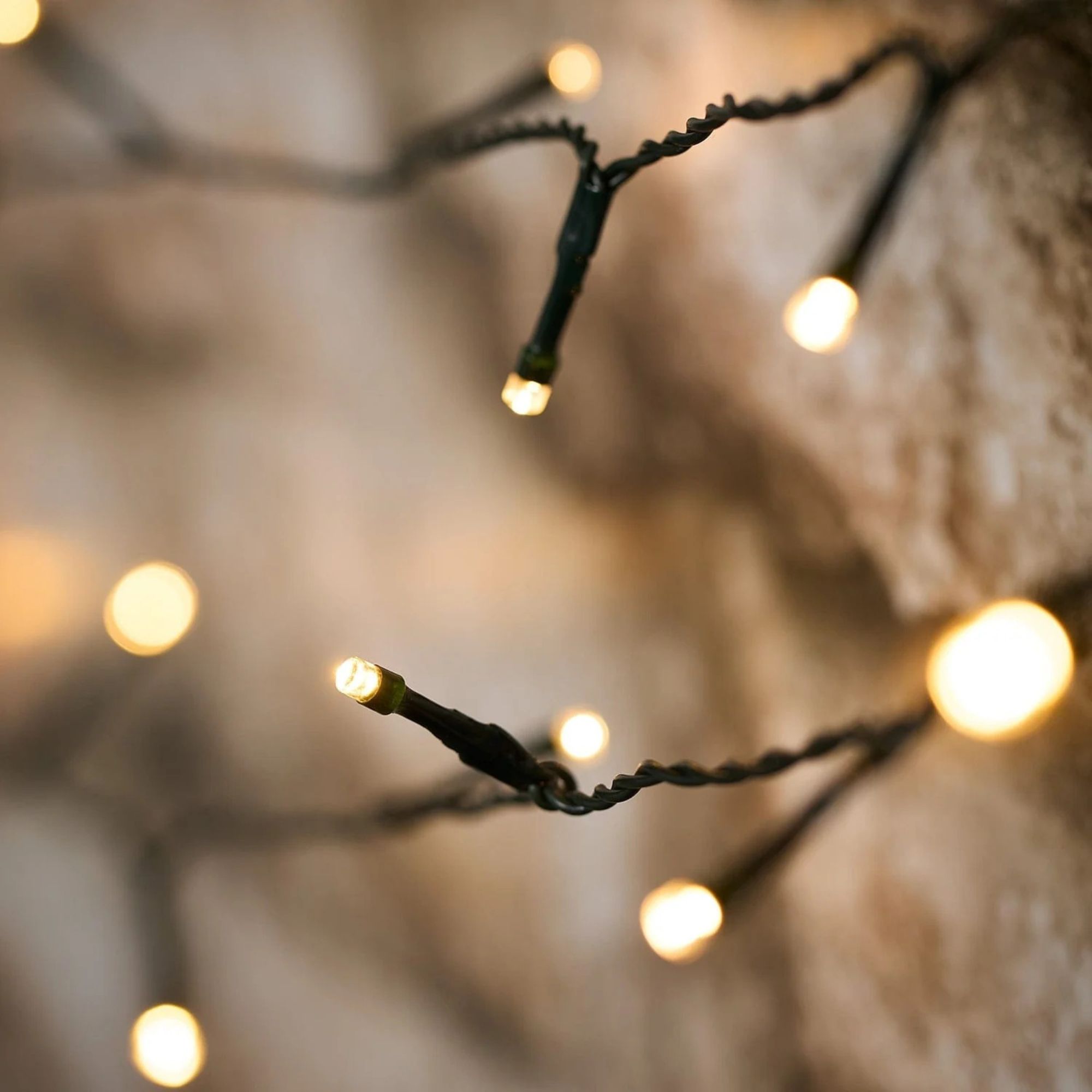 fairy lights