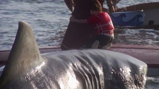 Still from a Jaws movie. Here we see a boy wearing a lifejacket who is clutching onto the rudder of an upturned boat, trying to avoid the circling great white shark.