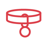 Pet Accessories Coupons