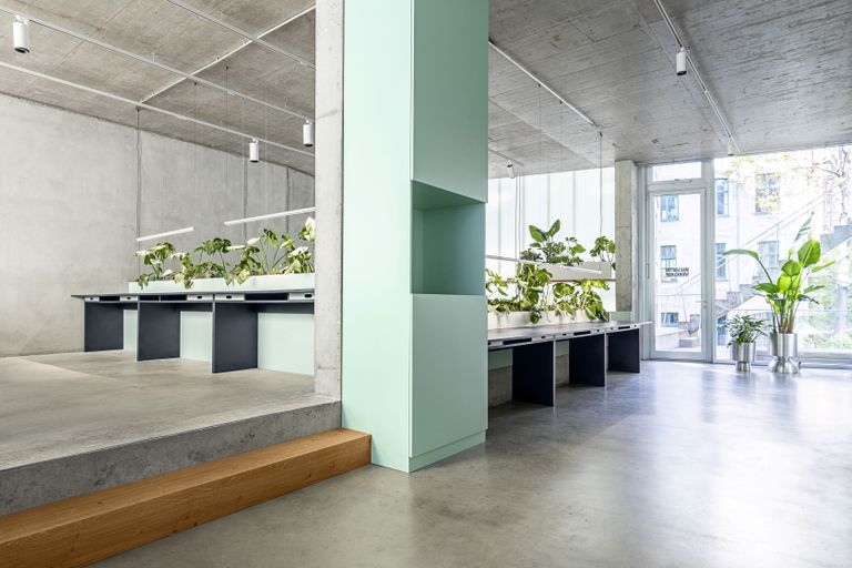 New M&C Saatchi Berlin office interiors embrace bold colour | Wallpaper*