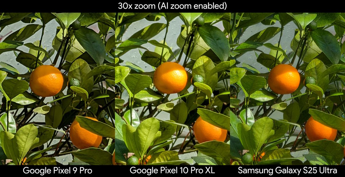 Comparing photos from the Google Pixel 10 Pro XL, Samsung Galaxy S25 Ultra, and Google Pixel 9 Pro XL of an orange bush at 30x zoom