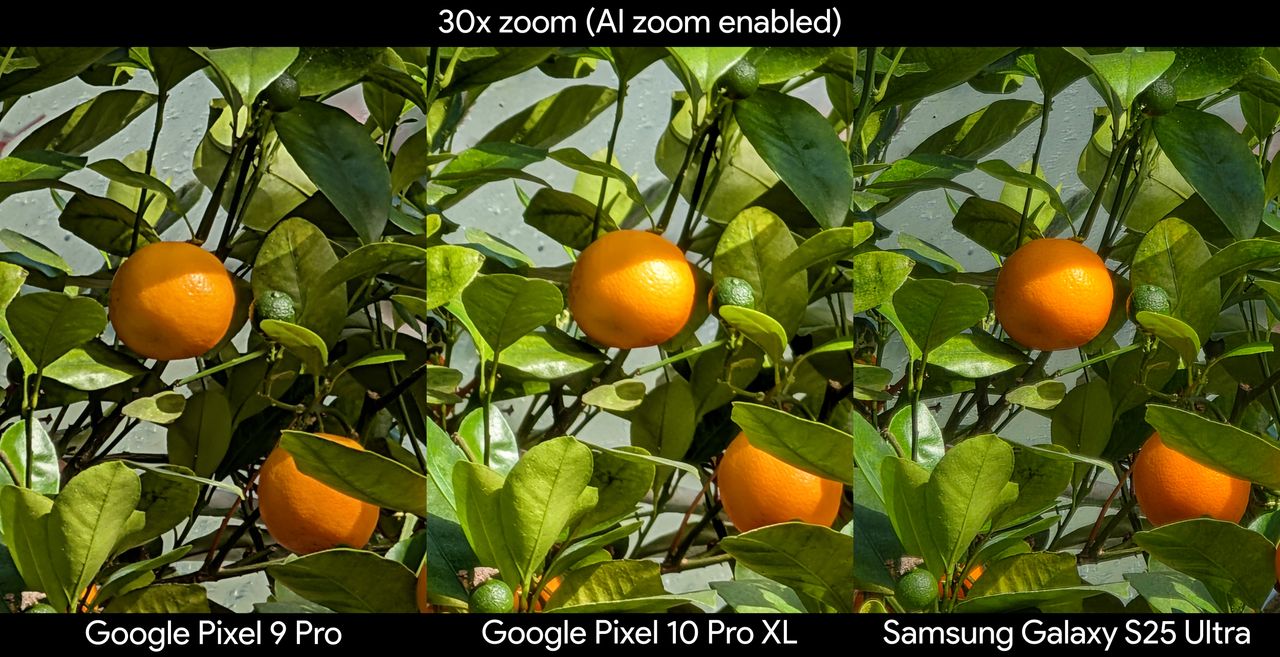Comparing photos from the Google Pixel 10 Pro XL, Samsung Galaxy S25 Ultra, and Google Pixel 9 Pro XL of an orange bush at 30x zoom