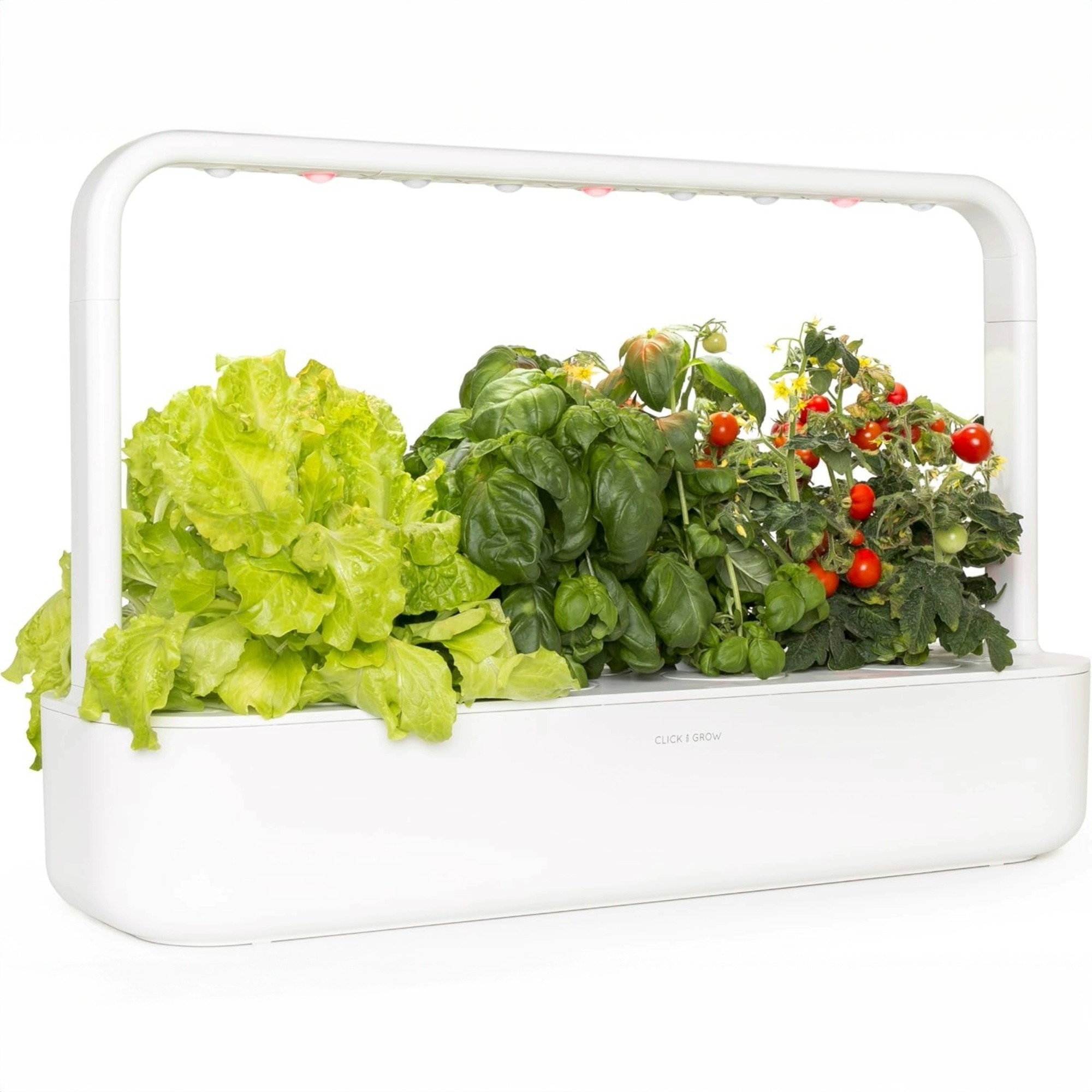White herb and veggie indoor growing station