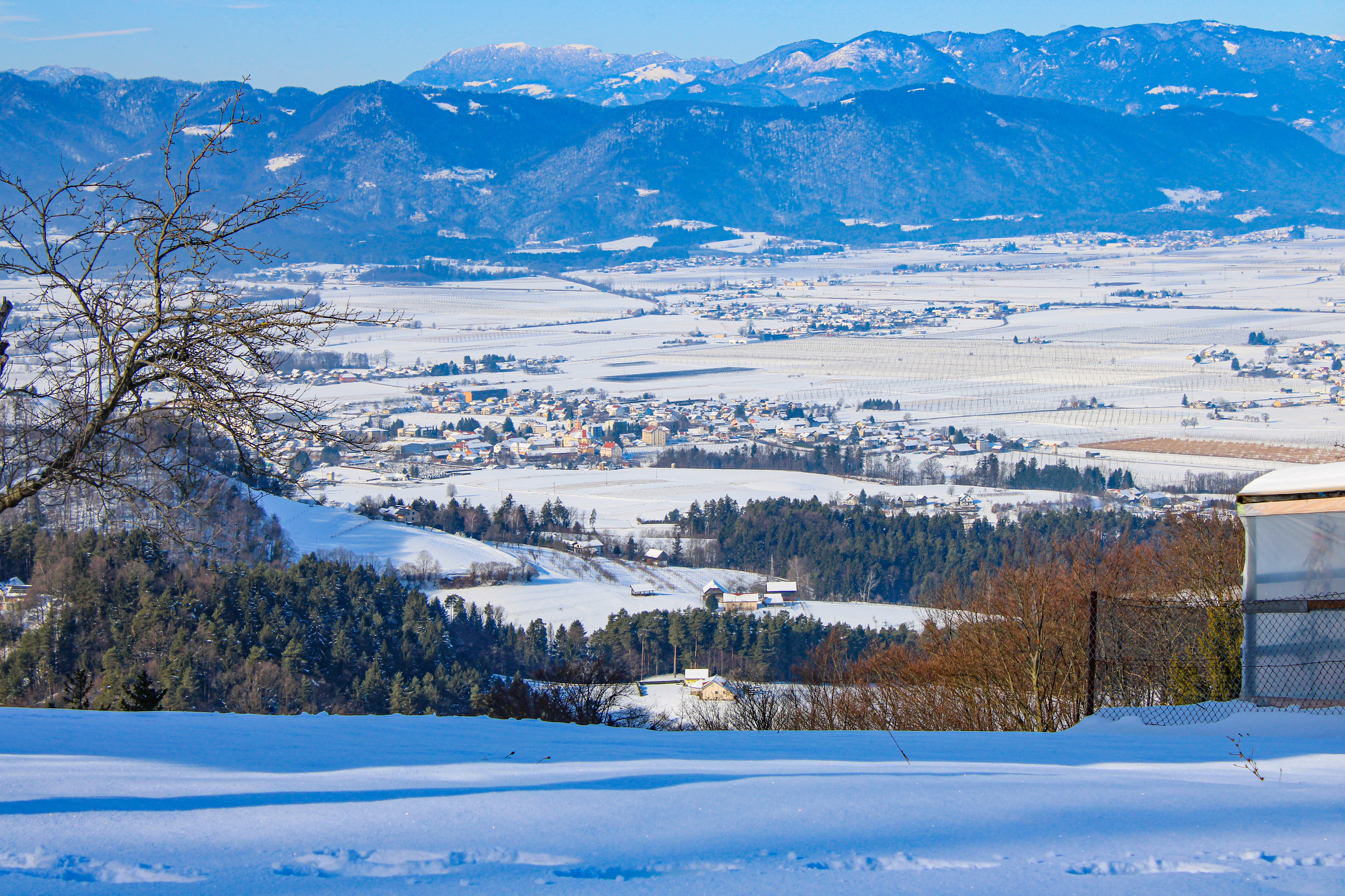 GuruShots - February 2026