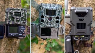 Field-testing the best trail cameras in a woodland: Bushnell Core S-4K No Glow, Spypoint FLEX-S Dark, and Browning Strike Force Pro X 1080
