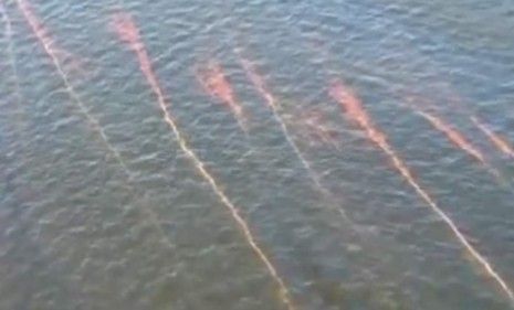 Streaks of oil can be seen in the Gulf of Mexico as a new spill makes its way onto Louisiana&amp;#039;s sandy beaches.