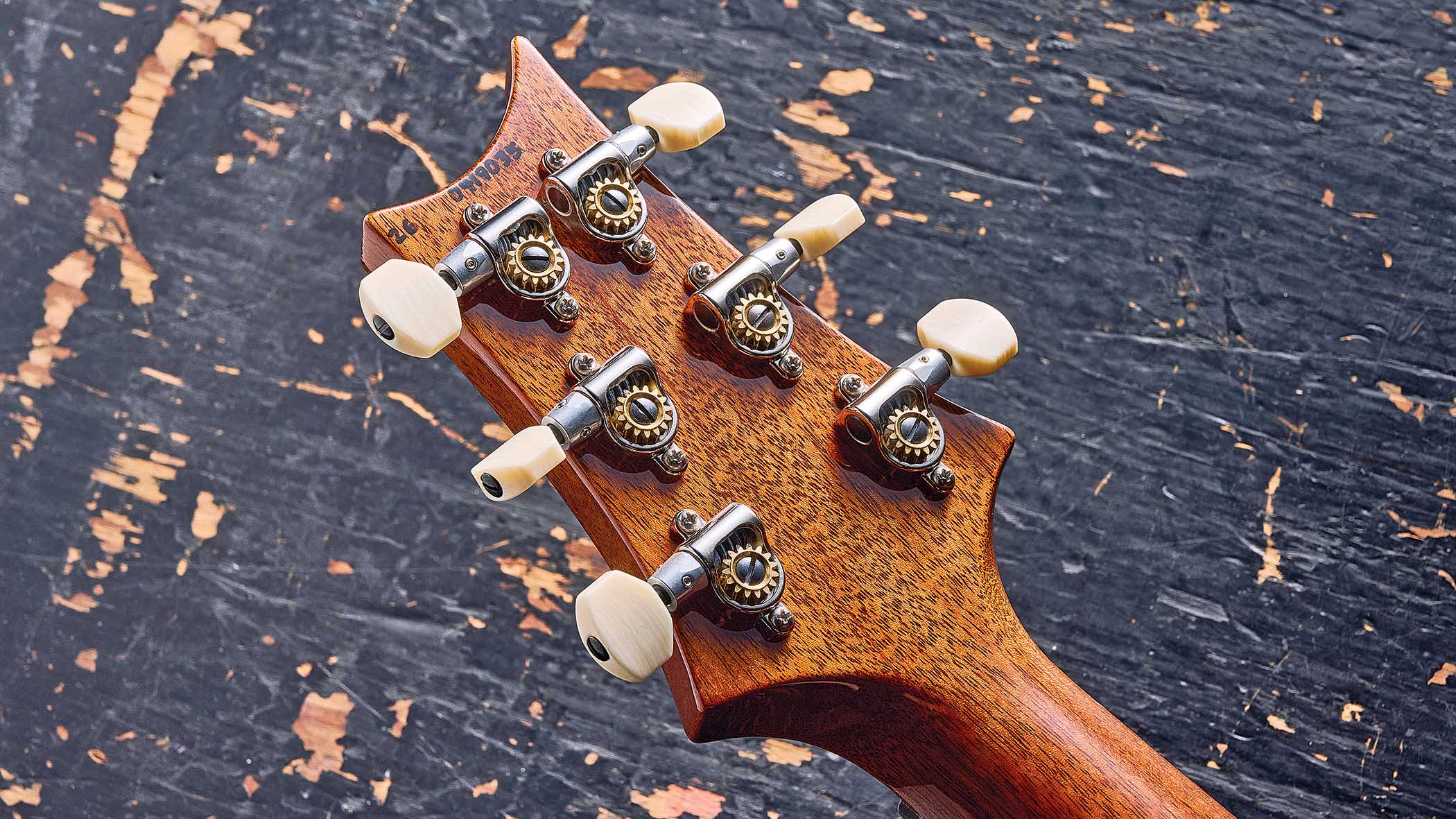 The PRS DGT Semi-Hollow Dave Grissom signature model