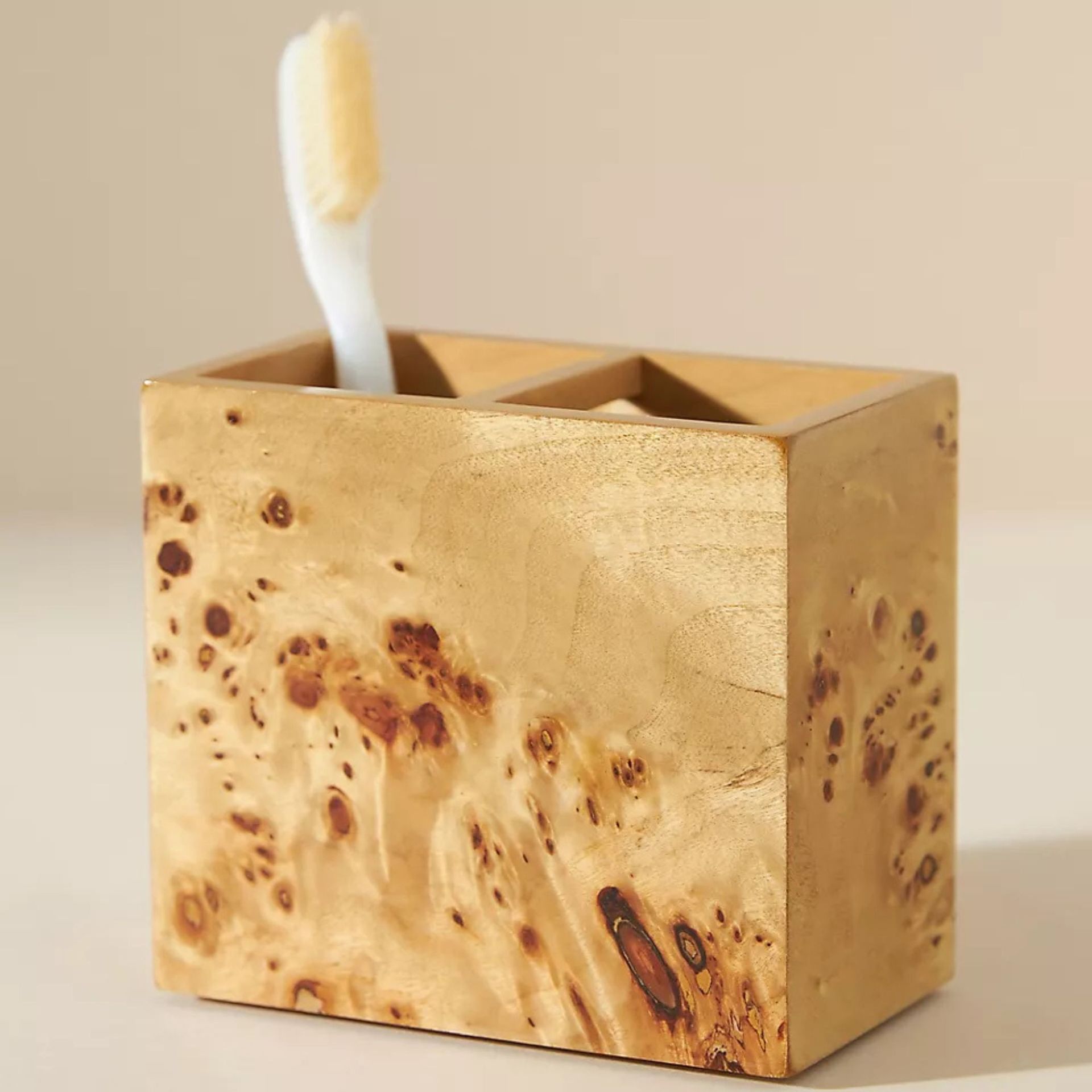 Kassatex Mesa Toothbrush Holder