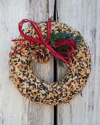 Mr. Bird Wildfeast Seed Wreath