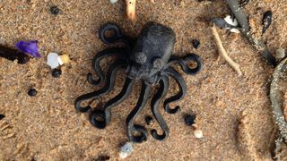 Octopuses were a rare find for beachcombers, as the ship's container held just 4,200 of these many-armed plastic pieces.
