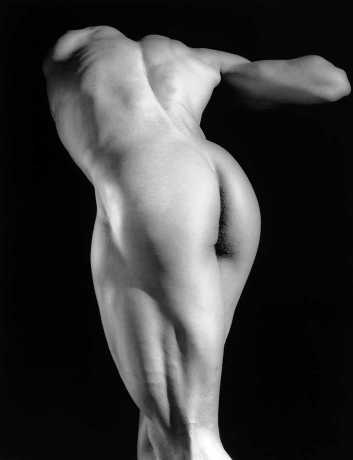 Michael Reed