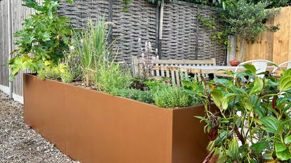 Garden raised planter made from a filing cabinet