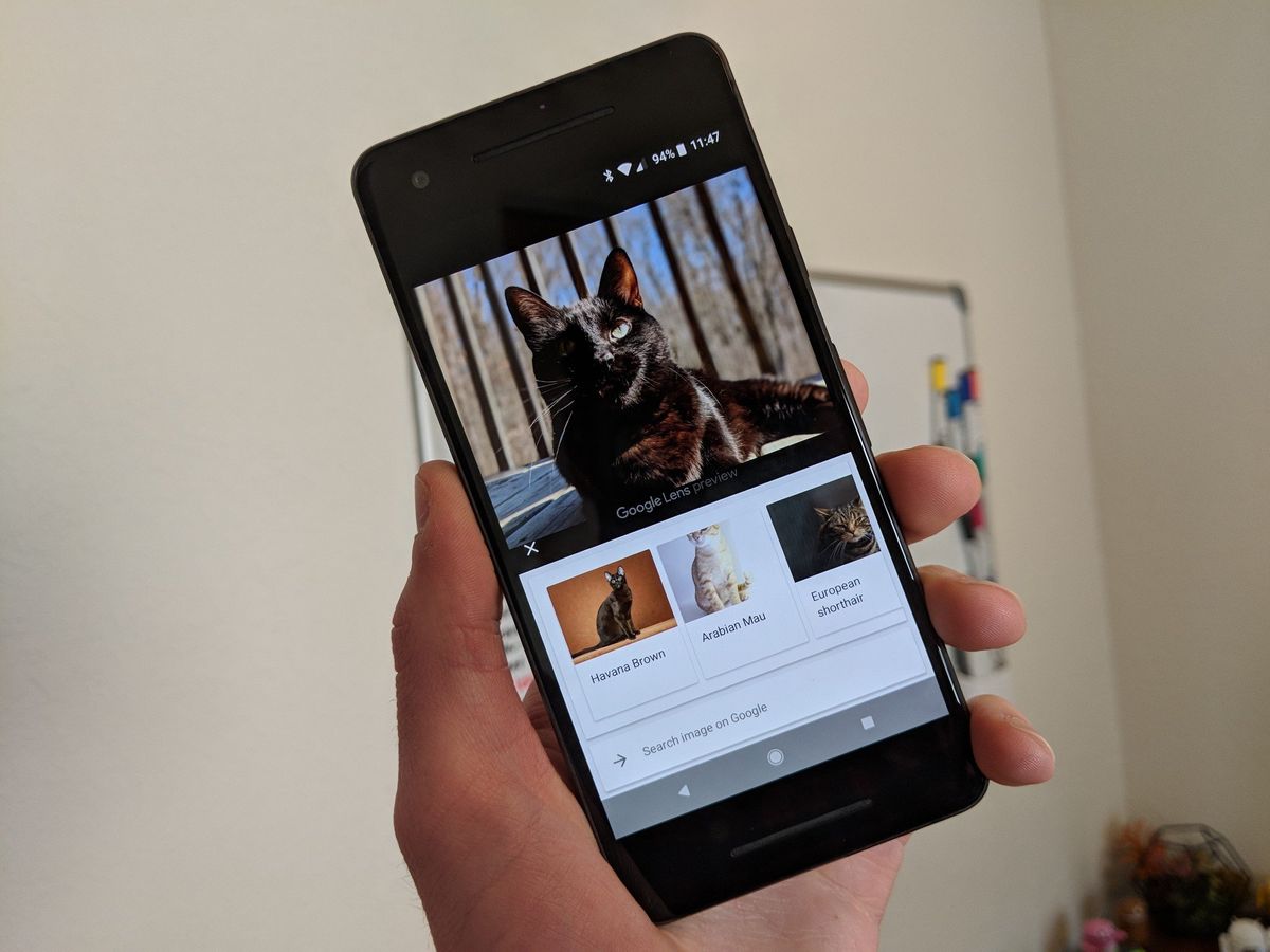 Google Lens on a Pixel 2