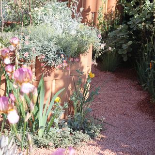 Red gravel garden path running beside planters and flowers at RHS Chelsea Flower Show