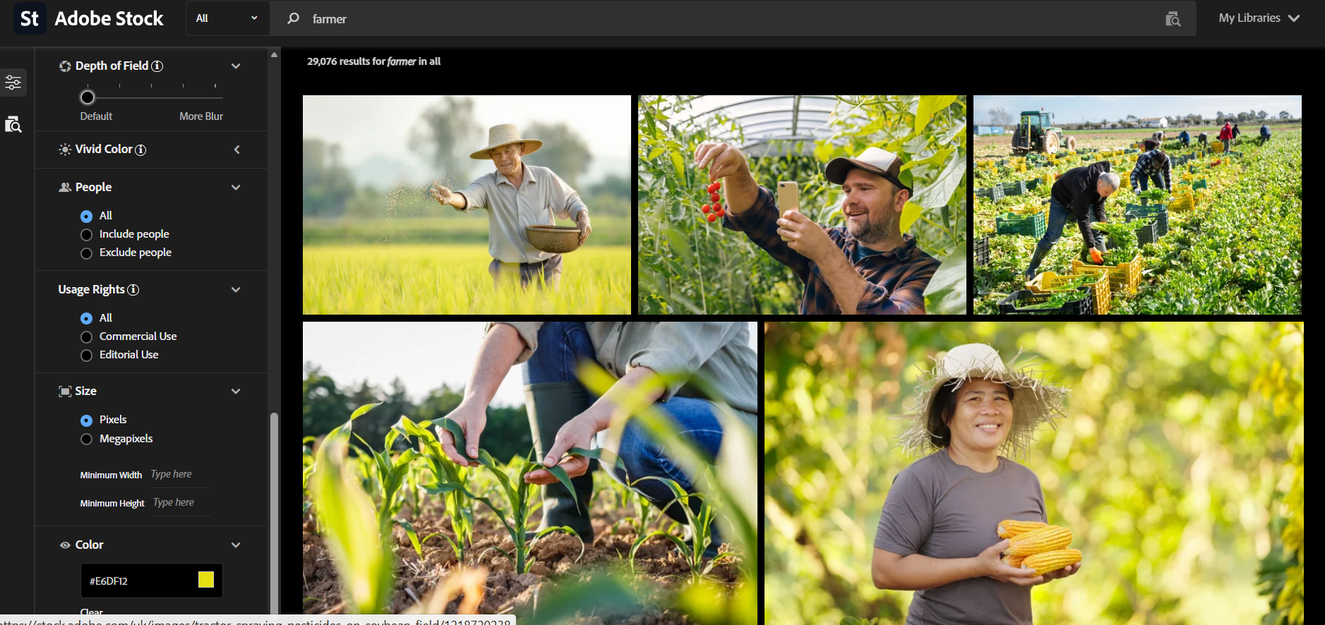 Using Adobe Stock's different features during our testing