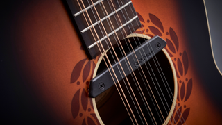 Closeup photo of a 12 string acoustic guitar with pickup