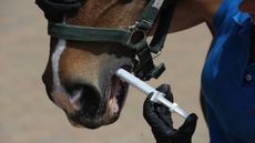 Worming2.jpg
