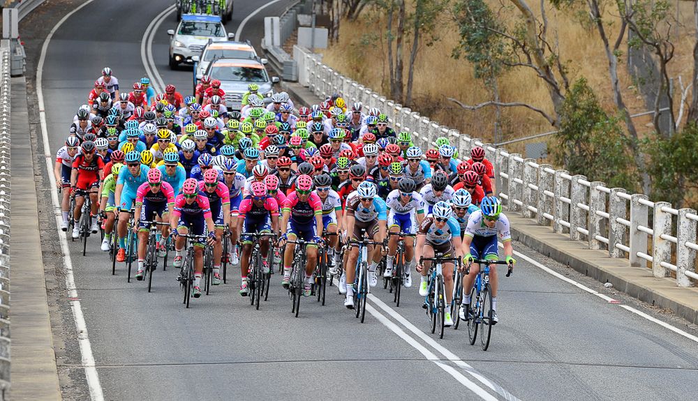 The peleton rides during the Tour Down Under stage 1 from Prospect to Lyndoch in Adelaide