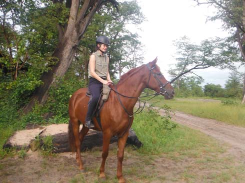Mulpuni (rescue pony)