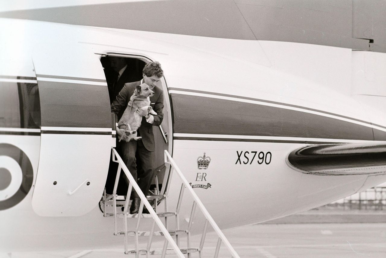 Elizabeth II's aid disembarks a plane at Heathrow carrying one of her dogs
