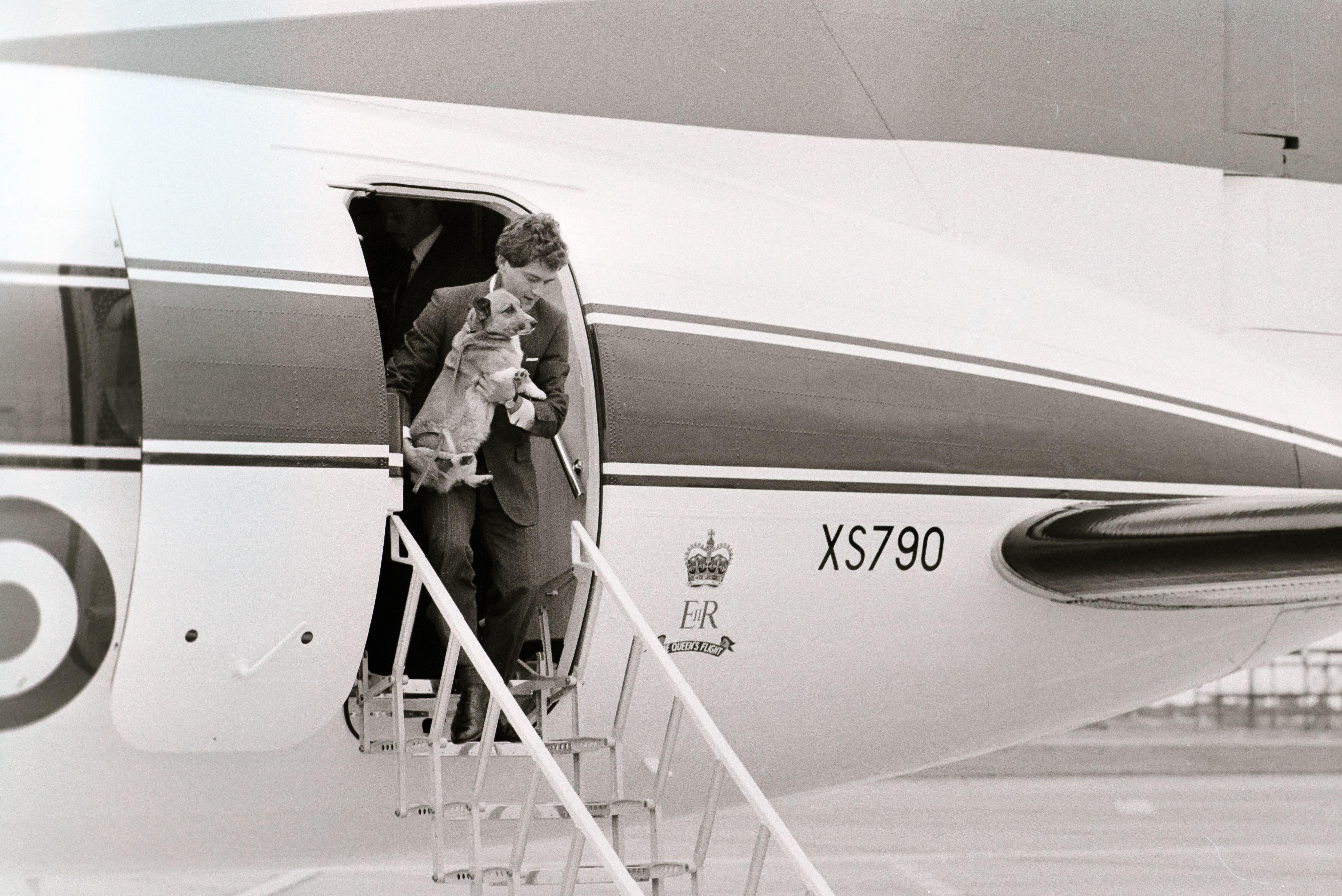 Elizabeth II&#039;s aid disembarks a plane at Heathrow carrying one of her dogs