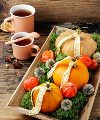 home decoration with pumpkins, moss and physalis on wooden table