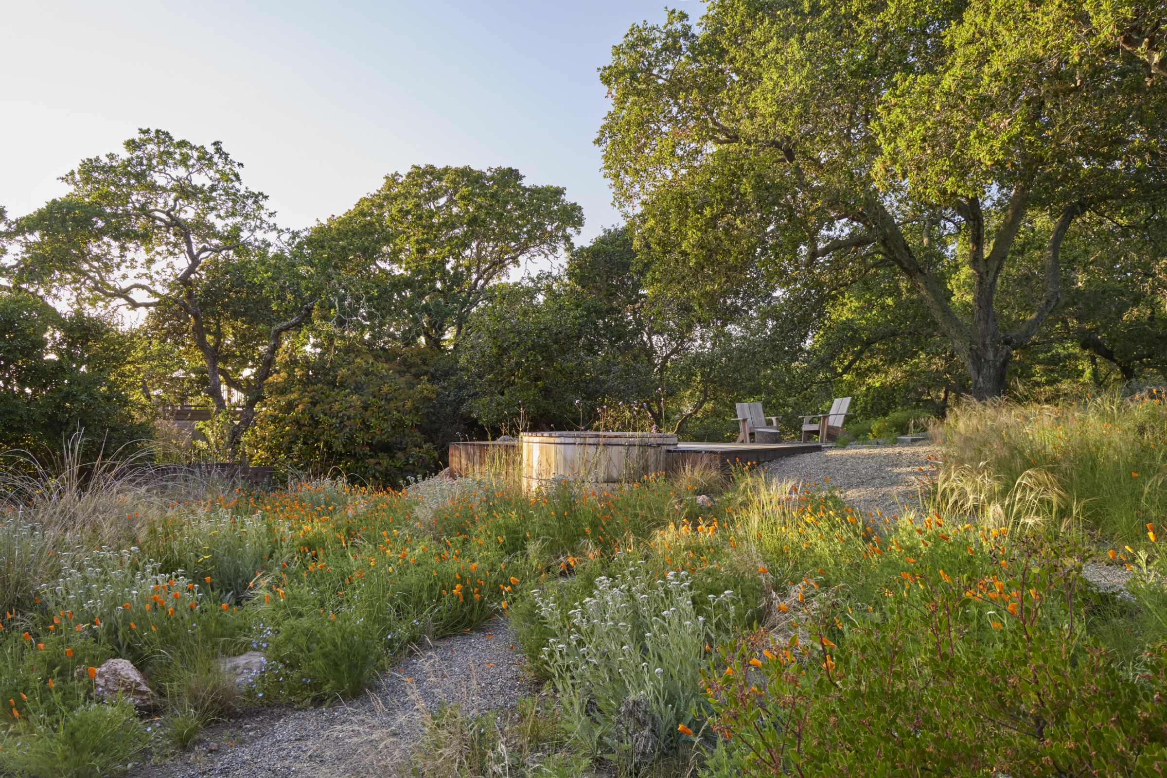 green landscape by studio Terremoto in california, peppered with light timber structures