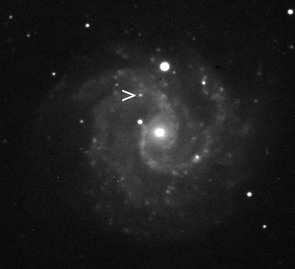 Post image 3
