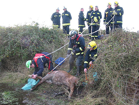 rescue2.jpg