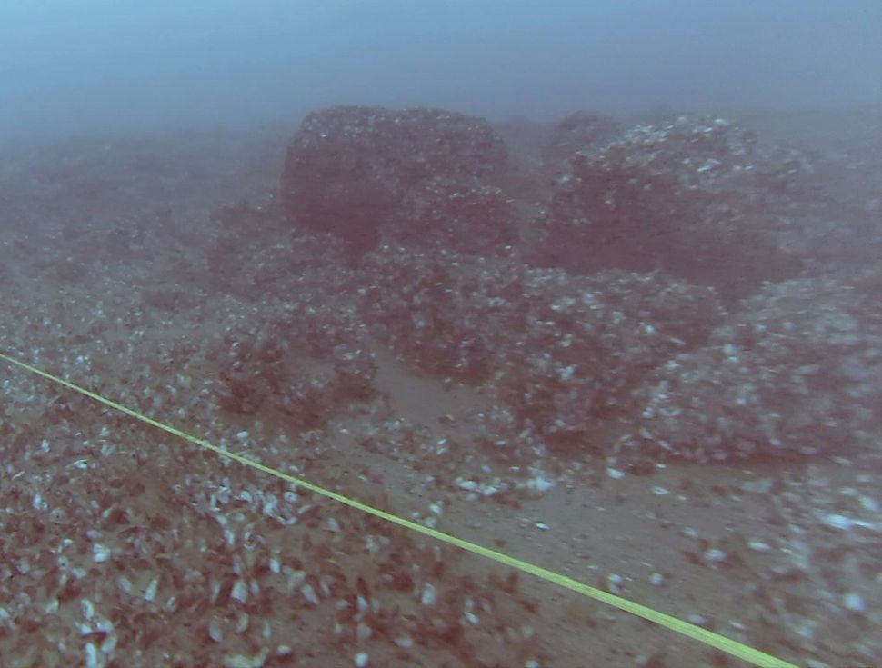 In Photos Hunting Structure Hidden Beneath Lake Huron Live Science