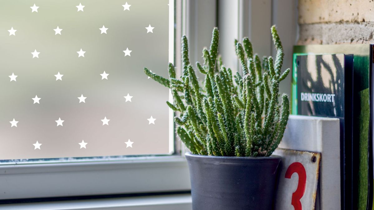 Window Treatment Ideas, How To Frost Glass