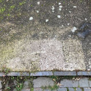 Results of testing algae and lichen cleaning products including Wet & Forget on concrete