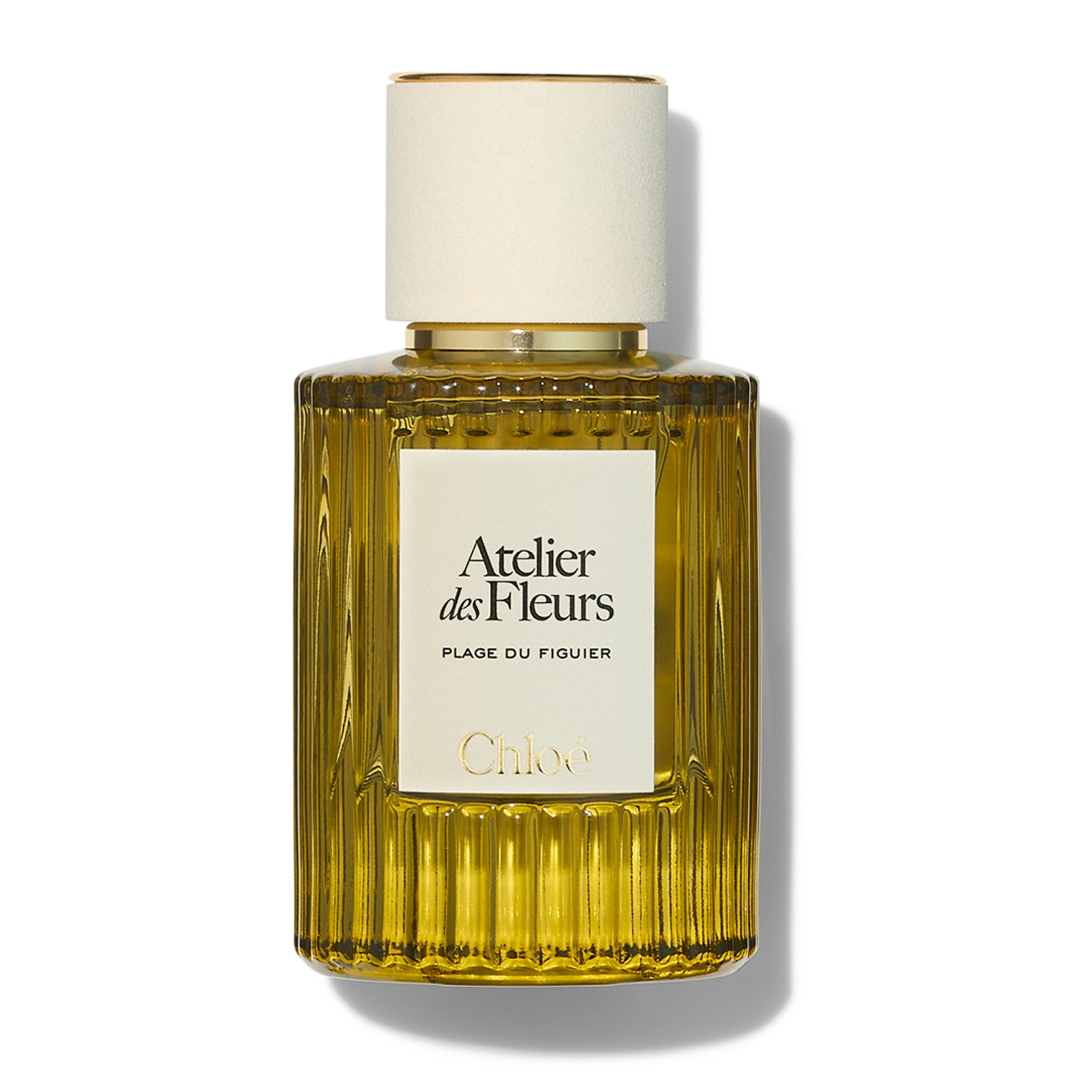 Chlo&amp;eacute; Atelier Des Fleurs Plage Du Figuier Eau De Parfum 50ml