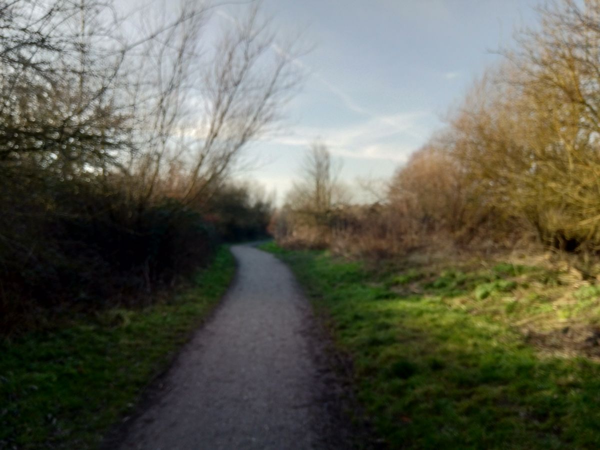 The Nokia 3.1&rsquo;s distressingly common autofocus failures lead to images like this. Image credit: TechRadar