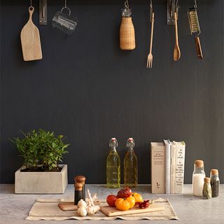 kitchen with dark grey wall and plant